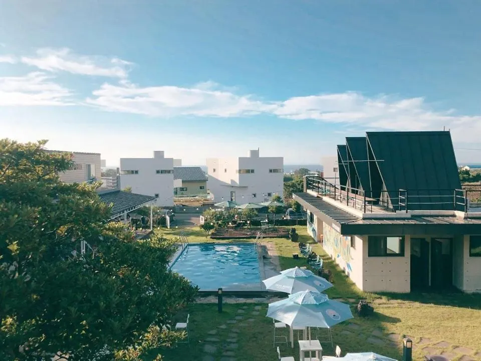 Jeju Playground Hostel